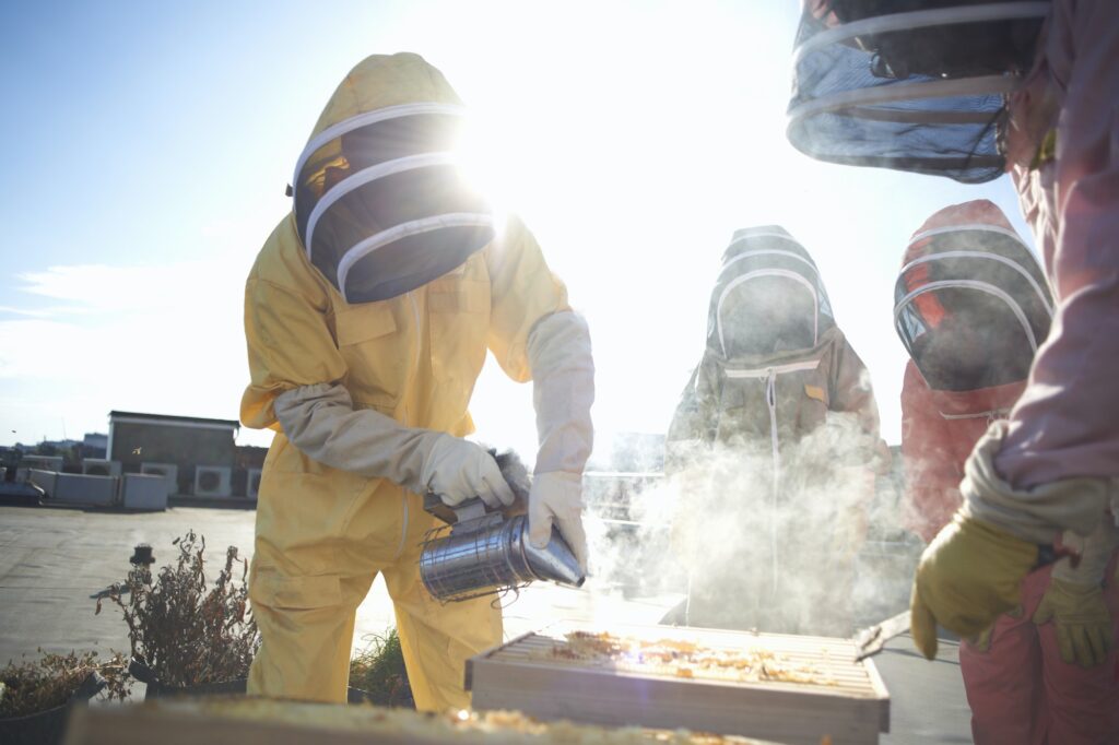 Male and female beekeepers using bee smoker on city rooftop